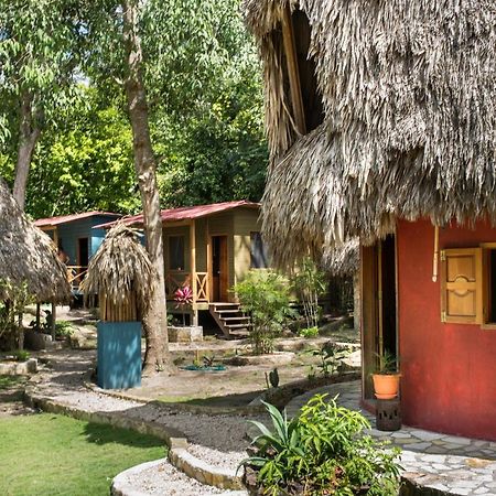 Alice Guesthouse إل ريماتي المظهر الخارجي الصورة