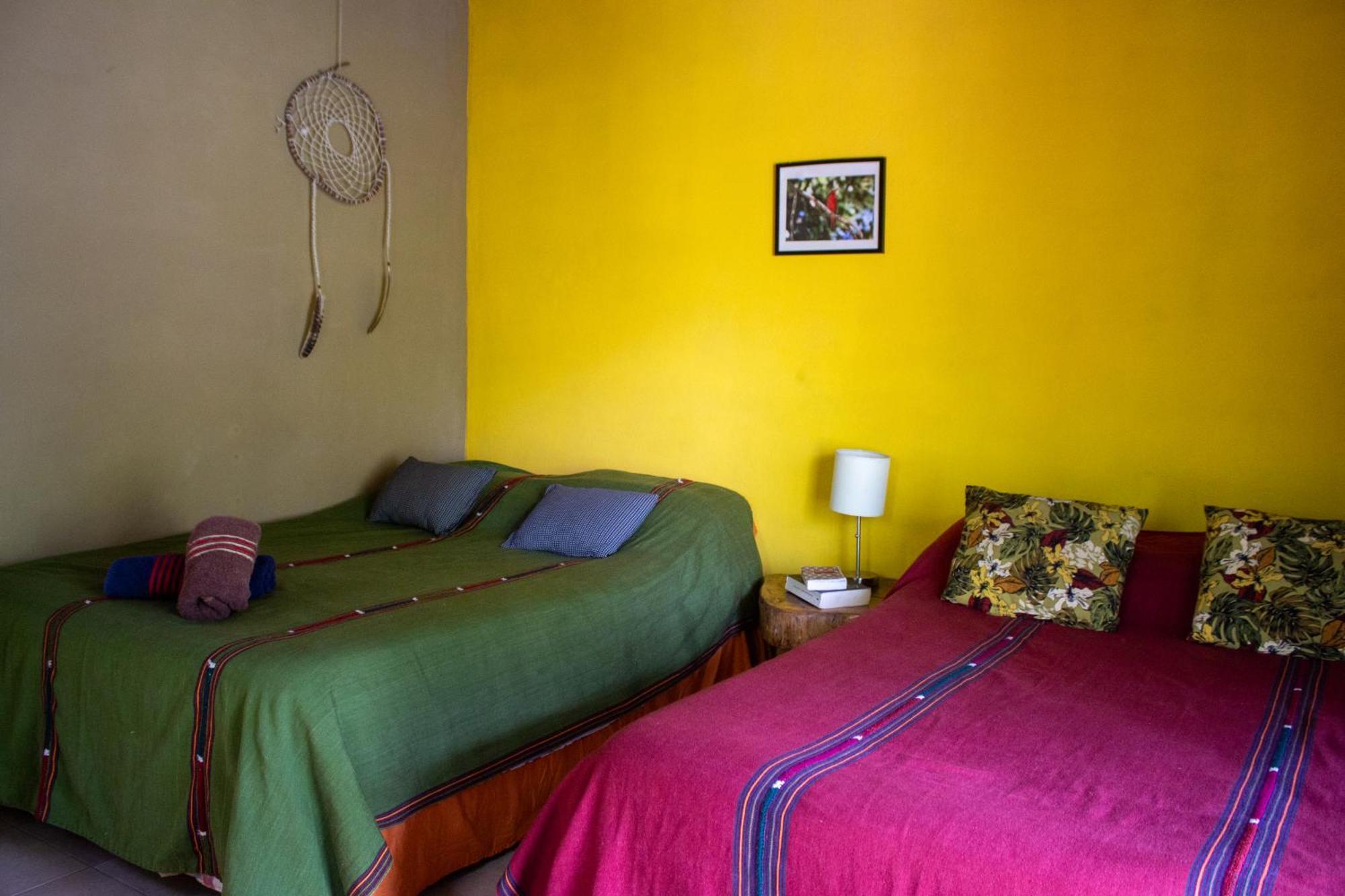 Alice Guesthouse إل ريماتي المظهر الخارجي الصورة