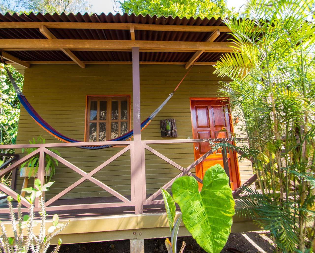 Alice Guesthouse إل ريماتي المظهر الخارجي الصورة