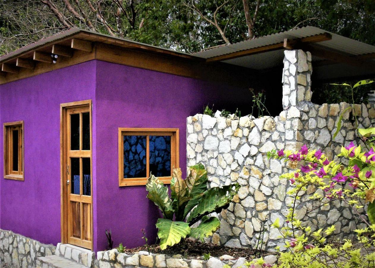Alice Guesthouse إل ريماتي المظهر الخارجي الصورة